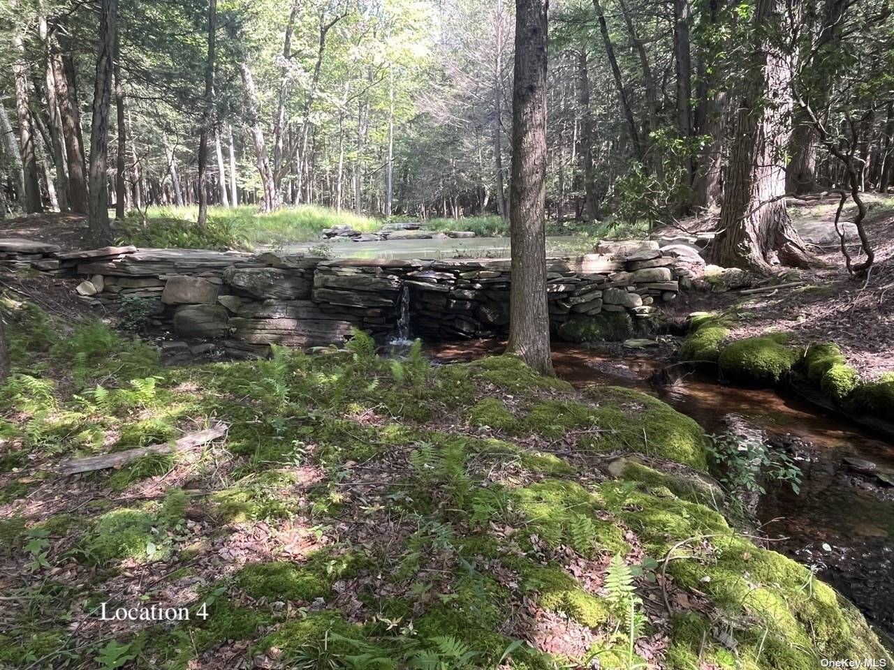 Land Tanzman  Sullivan, NY 12768, MLS-3506472-16