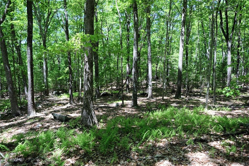 Land Barbara  Sullivan, NY 12723, MLS-H6280499-16