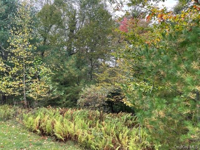 Land Chapin  Sullivan, NY 12720, MLS-H6273528-16