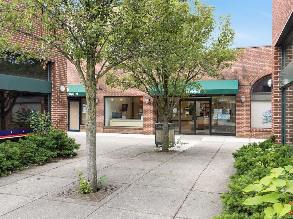 Commercial Lease Moger  Westchester, NY 10549, MLS-H6278574-16