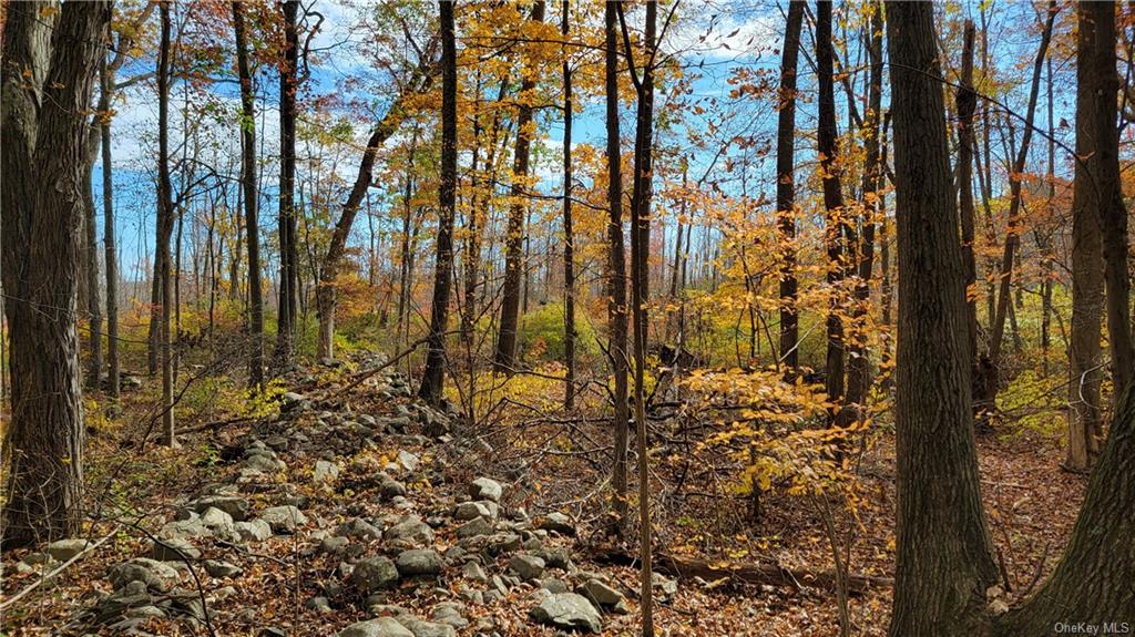 Land Western  Orange, NY 12586, MLS-H6275607-16