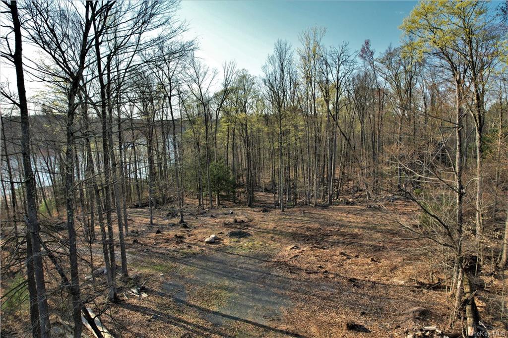 Land Plank  Sullivan, NY 12777, MLS-H6266634-16