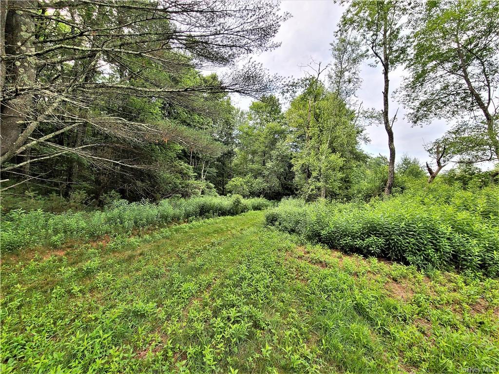 Land Mitchell  Sullivan, NY 12786, MLS-H6243649-16