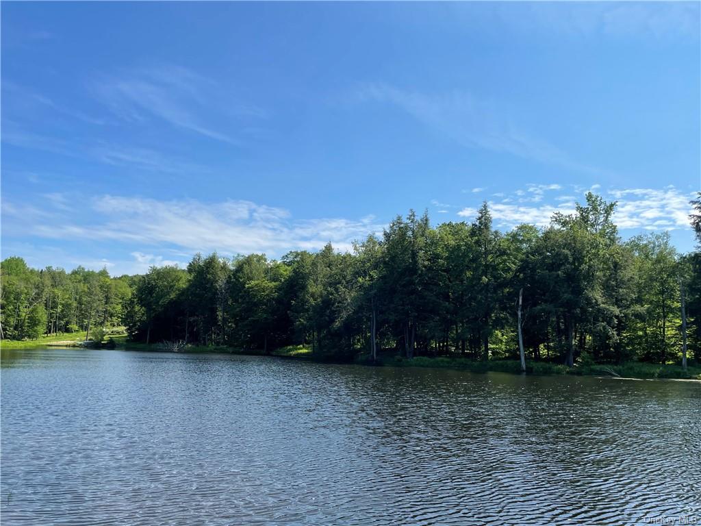 Land Eagles Ridge  Sullivan, NY 12768, MLS-H6123686-16