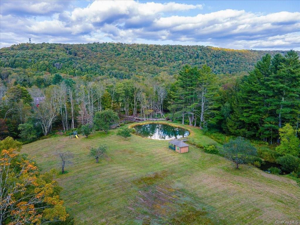 Land Old Liberty  Sullivan, NY 12758, MLS-H6269690-16