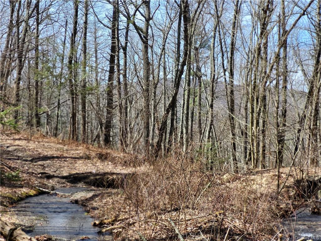 Land Old Plank  Ulster, NY 12420, MLS-H6180707-16