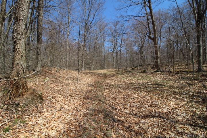 Land Cattail  Sullivan, NY 12758, MLS-H6244708-16