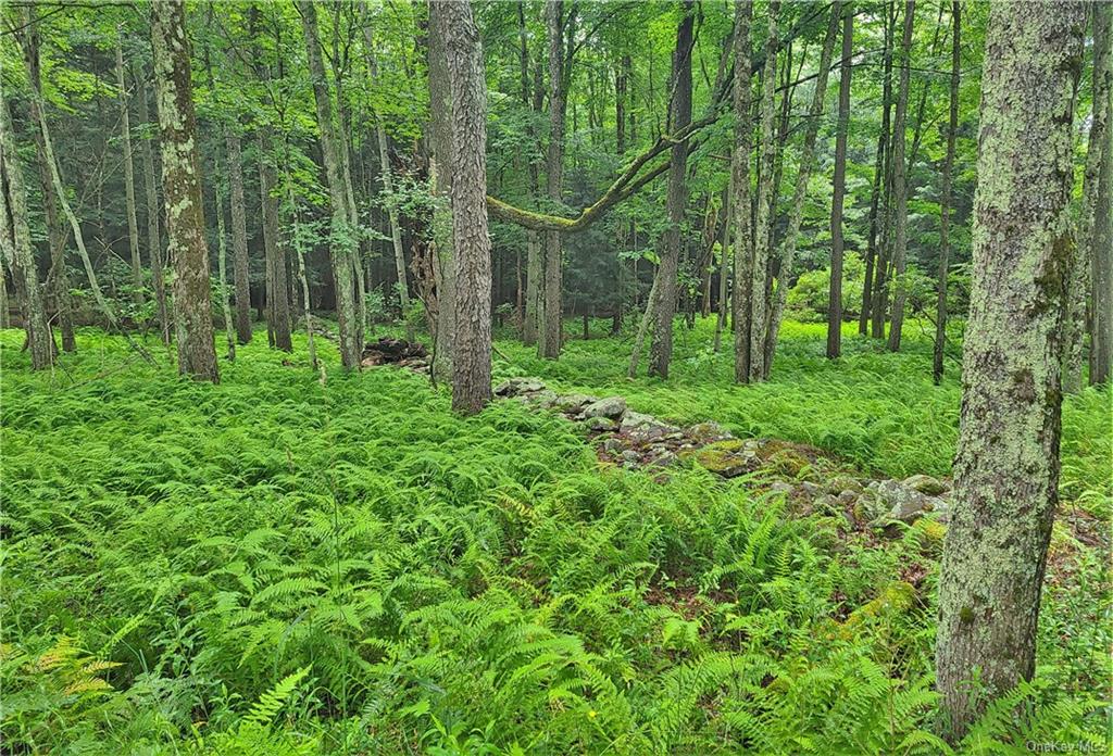 Land Goldsmith  Sullivan, NY 12783, MLS-H6258729-16