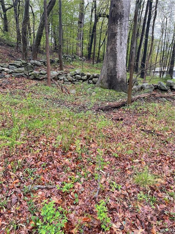 Land Front  Westchester, NY 10598, MLS-H6244777-16
