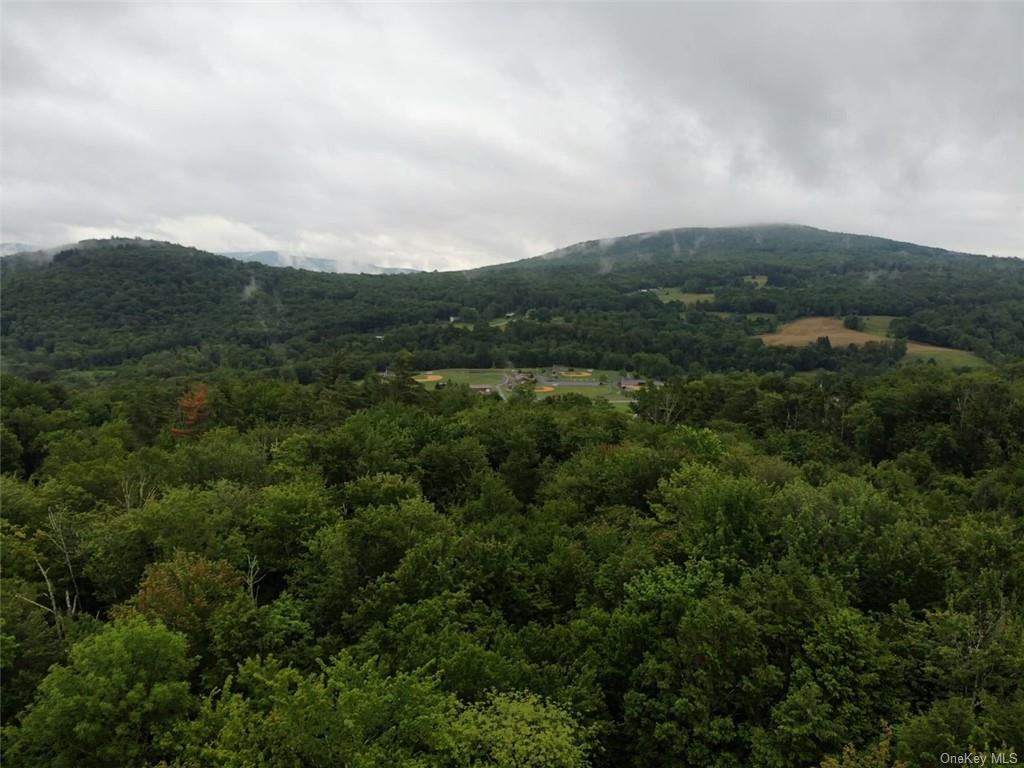 Land Big Hollow  Sullivan, NY 12765, MLS-H6256806-16