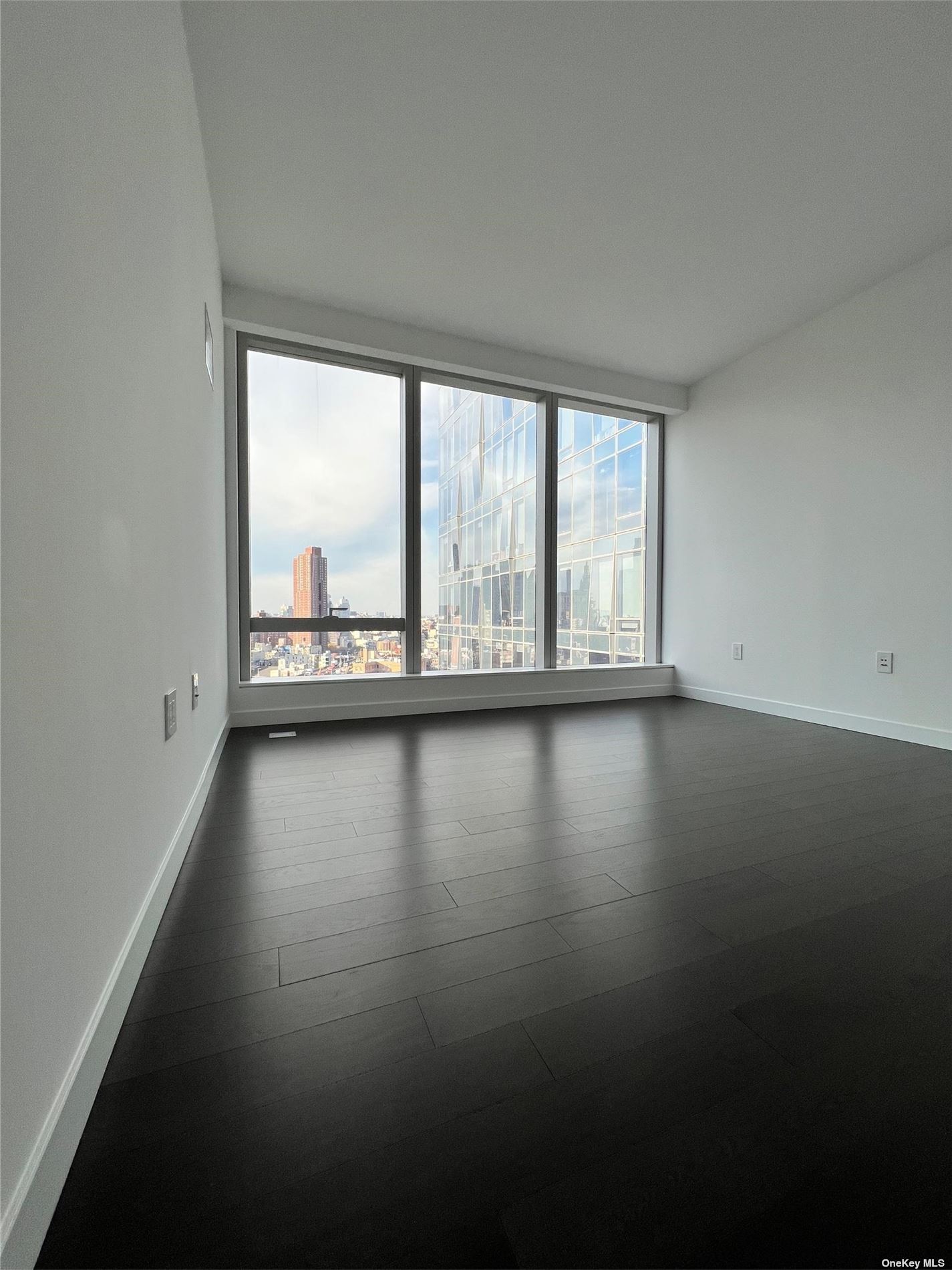 Apartment South  Manhattan, NY 10002, MLS-3517807-16