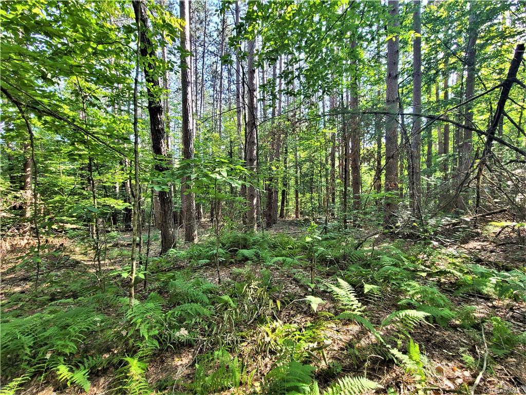 Land Woodstone  Sullivan, NY 12786, MLS-H6267818-16