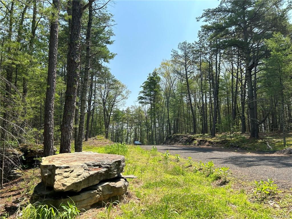 Land Clendening  Ulster, NY 12484, MLS-H6259859-16