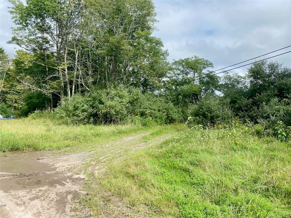 Land Moscoe  Sullivan, NY 12720, MLS-H6241893-16