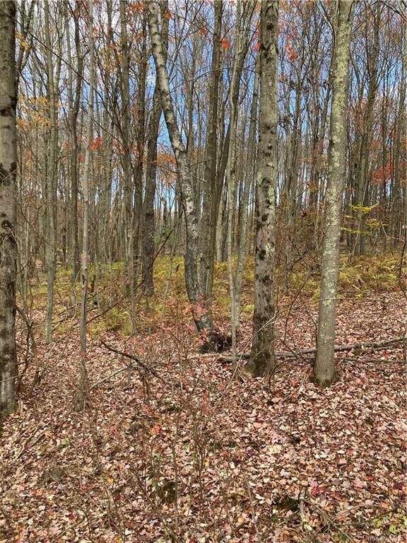 Land Big Woods  Sullivan, NY 12472, MLS-H6274967-16