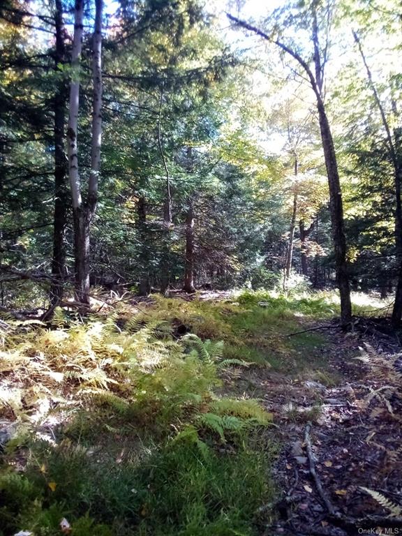 Land Mount Vernon  Sullivan, NY 12790, MLS-H6215980-16