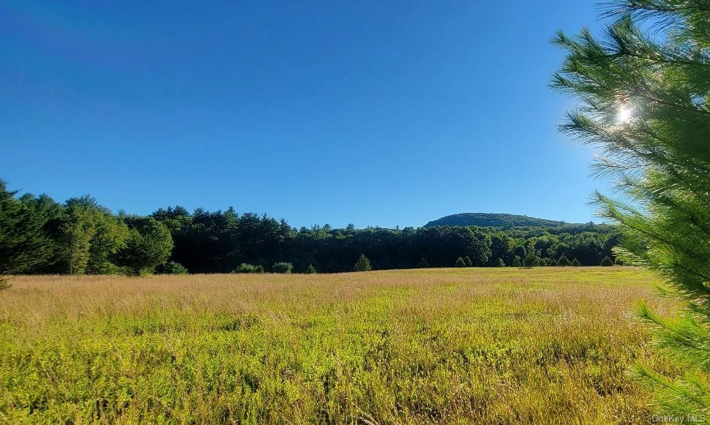 Land Meyerson  Sullivan, NY 12790, MLS-H6207993-16