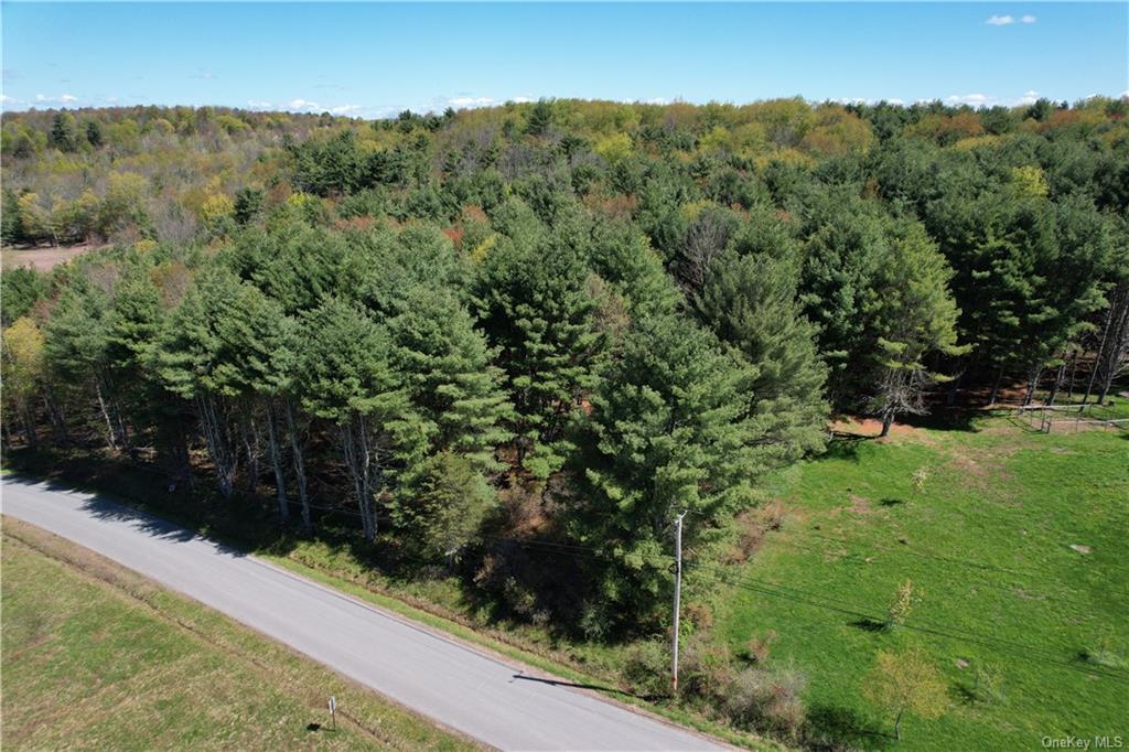 Land Royce  Sullivan, NY 12720, MLS-H6245995-16