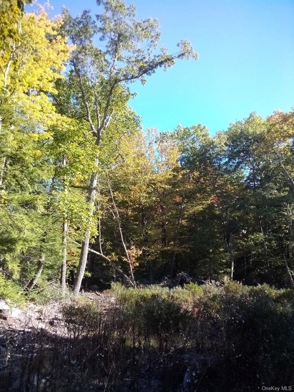 Land Mount Vernon  Sullivan, NY 12790, MLS-H6215996-16