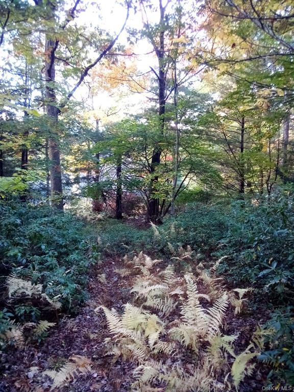 Land Mount Vernon  Sullivan, NY 12790, MLS-H6215998-16