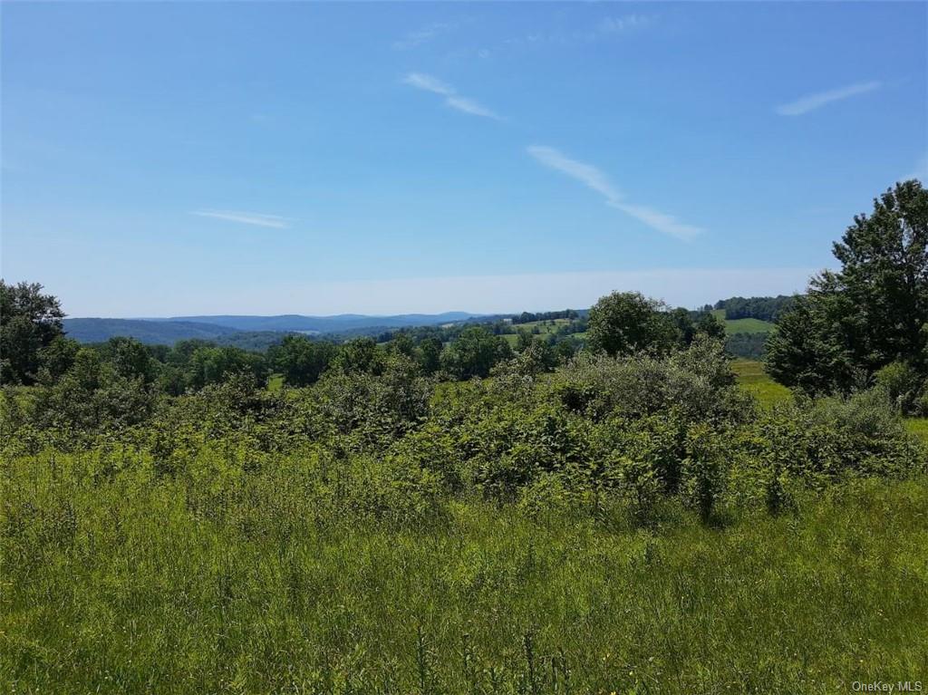 Land Beechwoods  Sullivan, NY 12723, MLS-H6264013-17