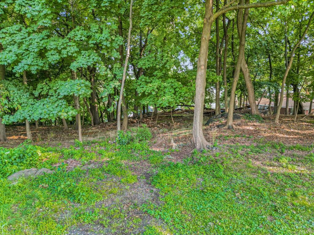 Land Dickinson  Westchester, NY 10703, MLS-H6264120-17