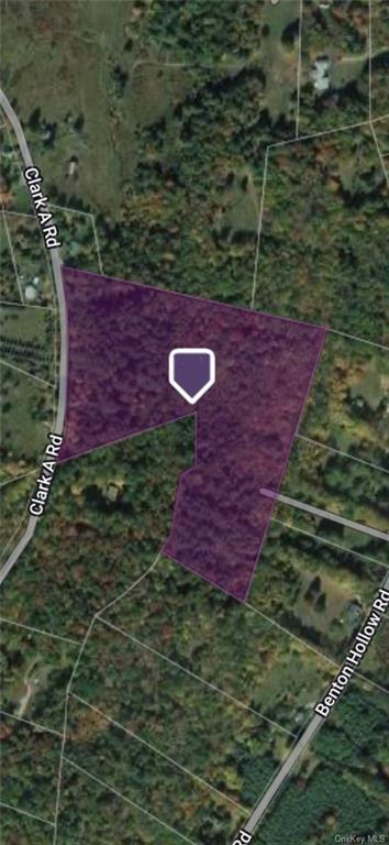 Land Tbd Clark Road Tr 21  Sullivan, NY 12733, MLS-H6280144-17