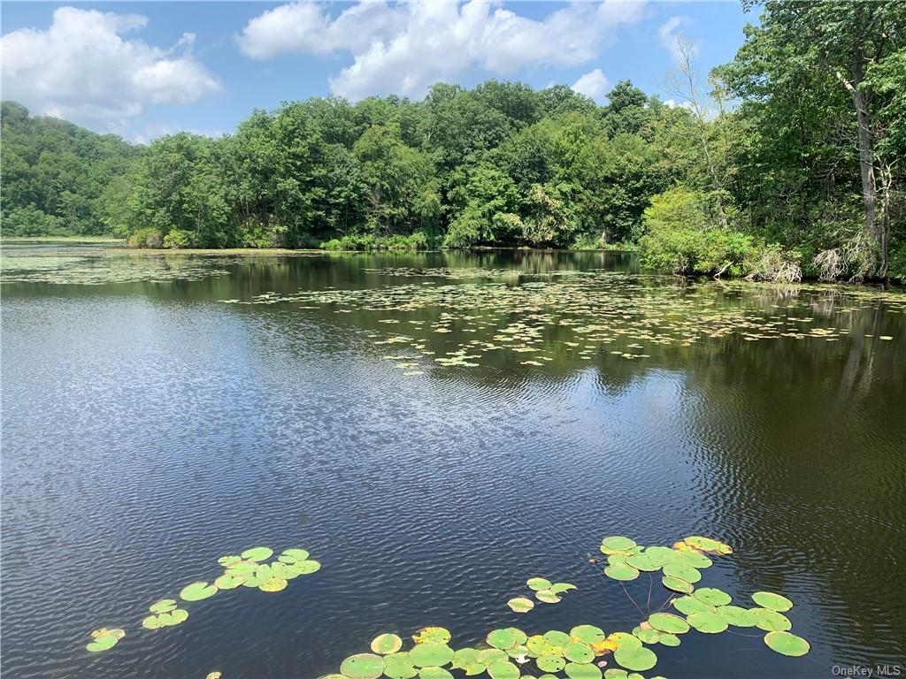 Land Pierson Lakes  Rockland, NY 10974, MLS-H6255156-17