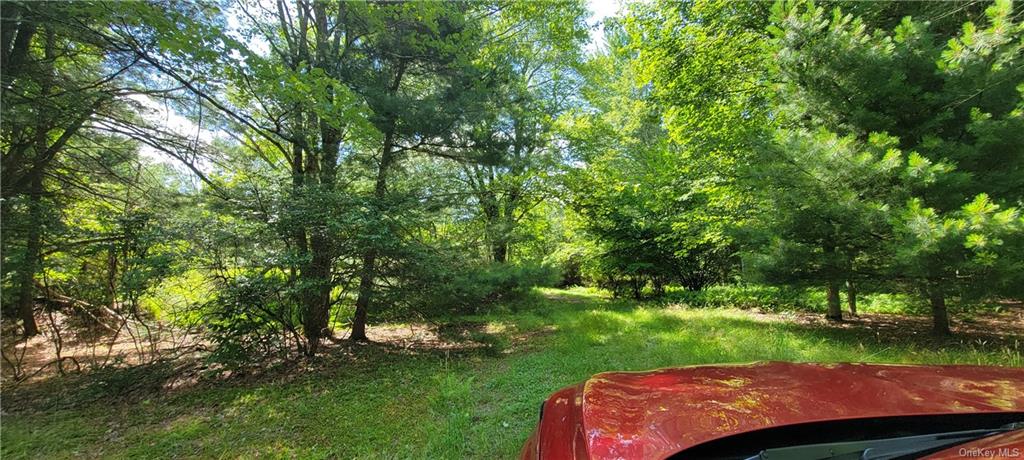 Land Westervelt  Sullivan, NY 12726, MLS-H6264186-17