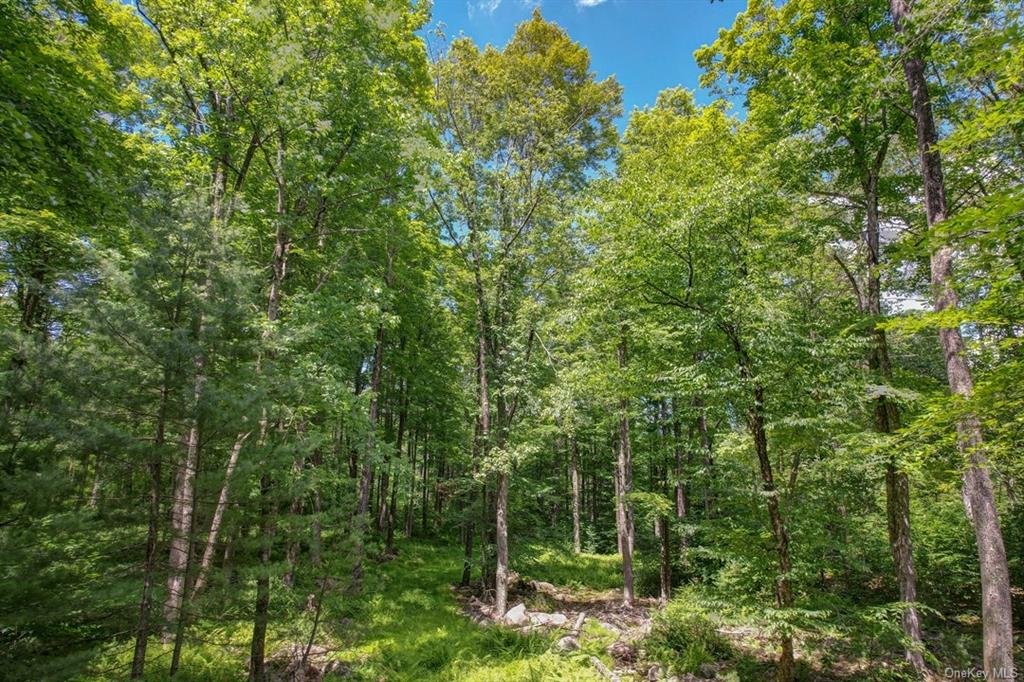 Land N/s French Clearing  Sullivan, NY 12777, MLS-H6195187-17