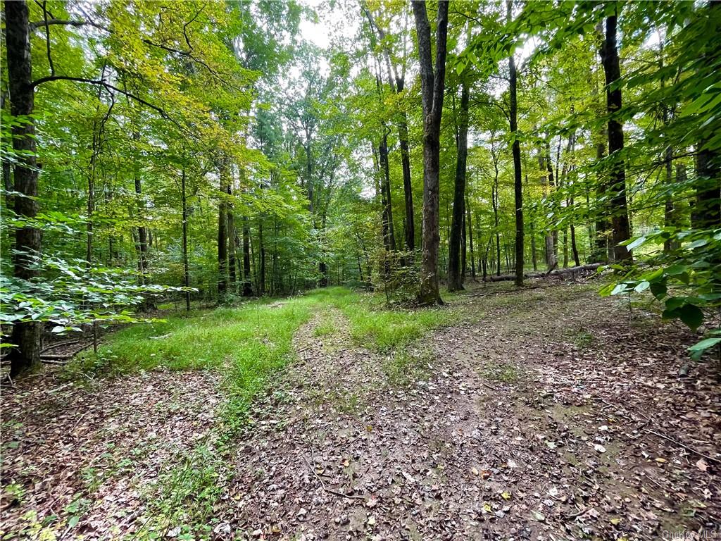 Land Ulsterville  Ulster, NY 12566, MLS-H6144266-17