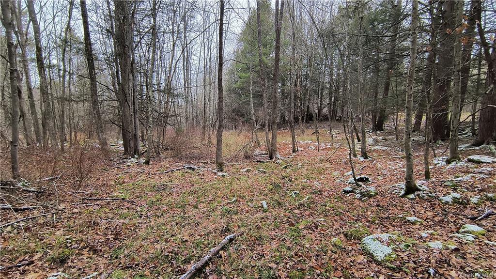 Land New Turnpike A  Sullivan, NY 12726, MLS-H6281364-17