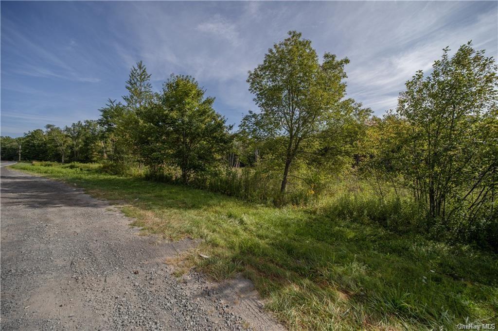 Land Heiden  Sullivan, NY 12733, MLS-H6212378-17