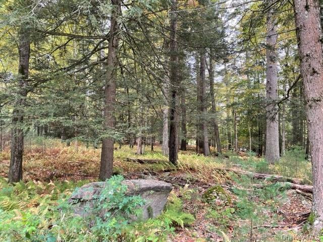 Land Chapin  Sullivan, NY 12720, MLS-H6273528-17