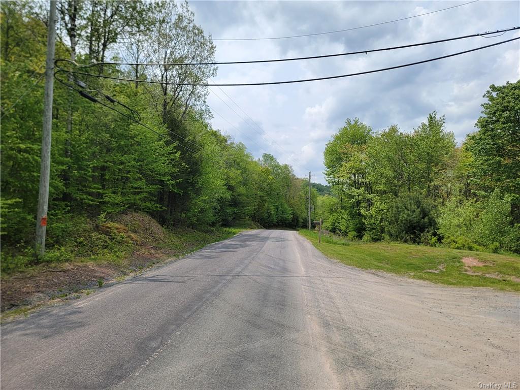 Land Eagles Ridge  Sullivan, NY 12768, MLS-H6232574-17