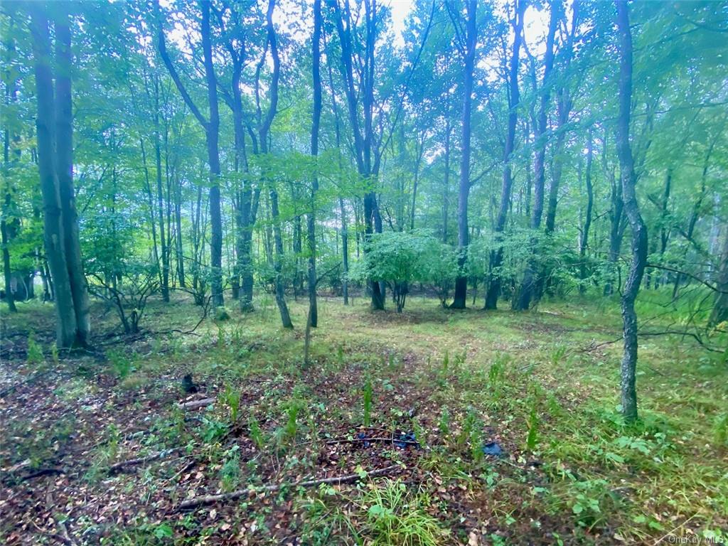 Land Broadway  Sullivan, NY 12701, MLS-H6239591-17