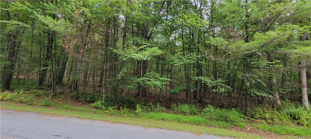 Land Hawks Nest  Out Of Area, NY 18428, MLS-H6265593-17