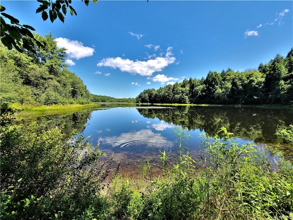 Land Beaver Lake  Sullivan, NY 12758, MLS-H6232604-17