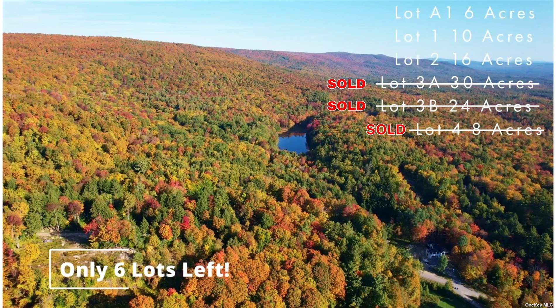 Land Plank  Out Of Area, NY 12859, MLS-3432613-17