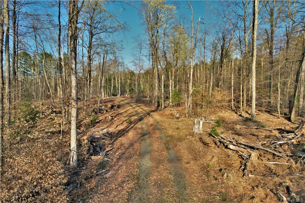 Land Plank  Sullivan, NY 12777, MLS-H6266634-17