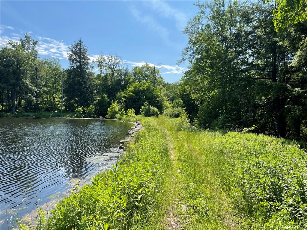 Land Eagles Ridge  Sullivan, NY 12768, MLS-H6123686-17