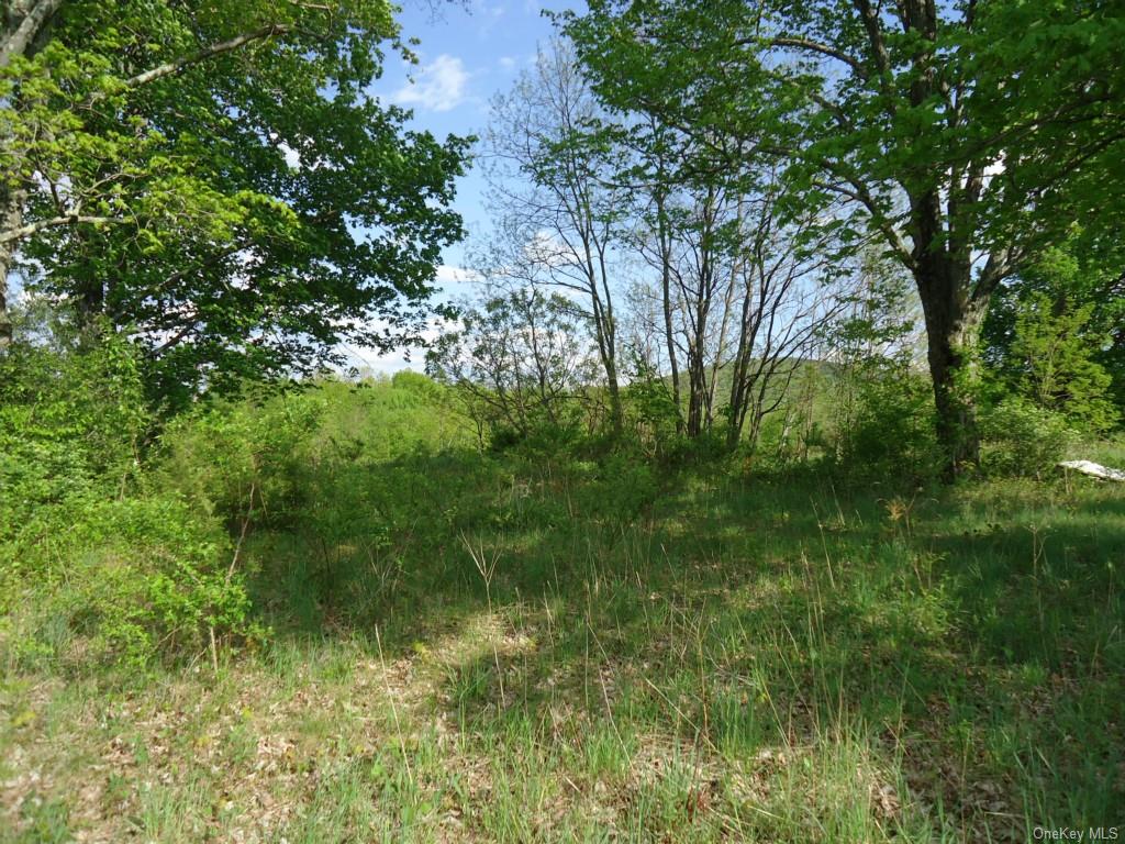 Land Crescent/pancake Hollow  Ulster, NY 12528, MLS-H6259698-17