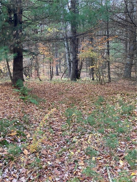 Land Plank  Sullivan, NY 12762, MLS-H6274706-17