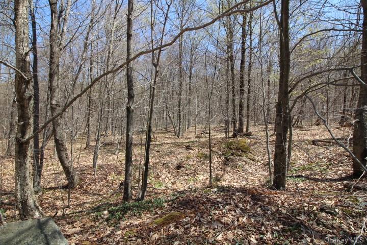 Land Cattail  Sullivan, NY 12758, MLS-H6244708-17