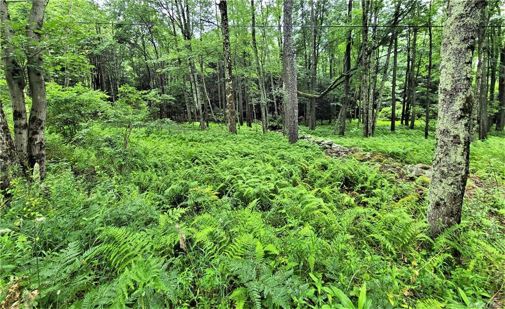 Land Goldsmith  Sullivan, NY 12783, MLS-H6258729-17