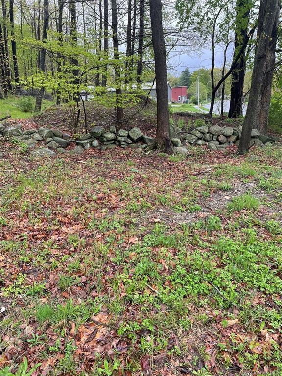 Land Front  Westchester, NY 10598, MLS-H6244777-17