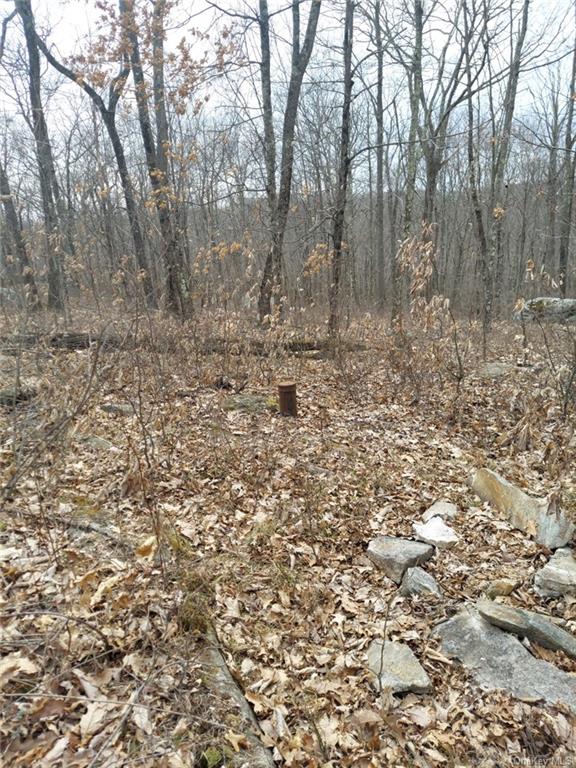 Land Grape Hollow  Dutchess, NY 12531, MLS-H6241803-17