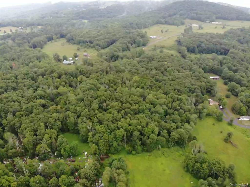 Land Big Hollow  Sullivan, NY 12765, MLS-H6256806-17