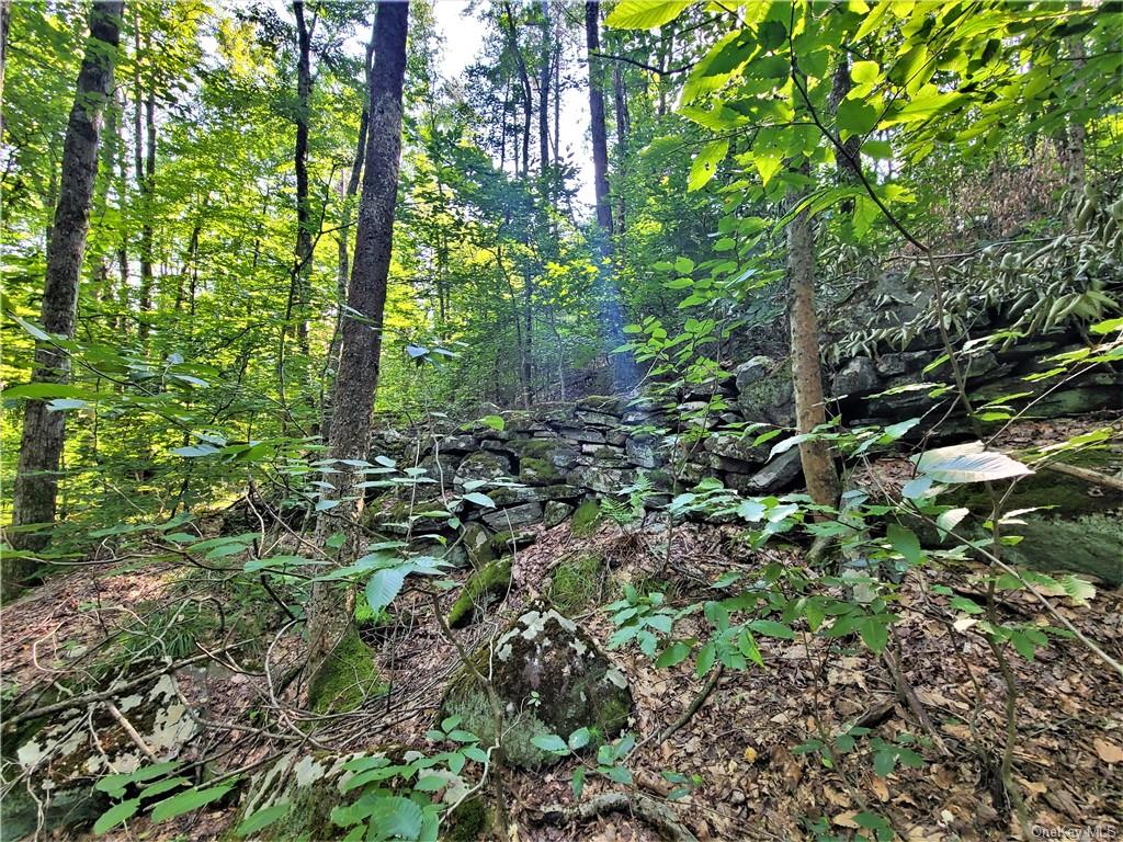 Land Woodstone  Sullivan, NY 12786, MLS-H6267818-17