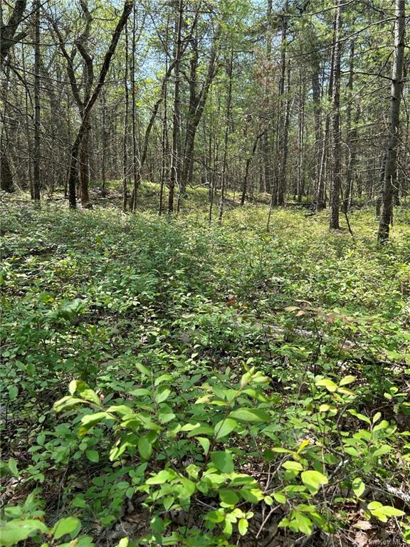 Land Clendening  Ulster, NY 12484, MLS-H6259859-17
